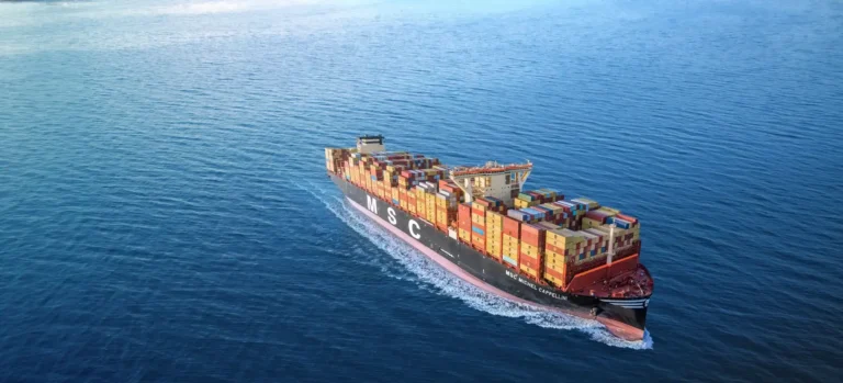 msc michel cappellini